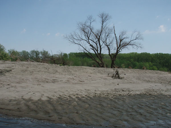 28 Beach